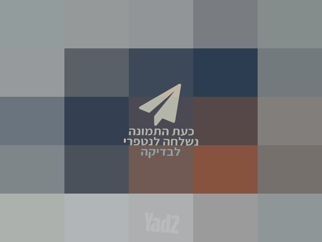 כינור The rose R35 MB 4/4