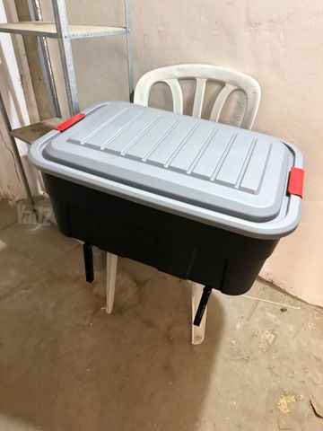 קעלנועית