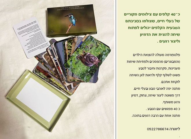 קלפים