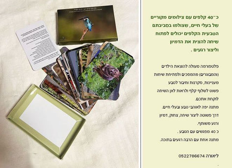 קלפים