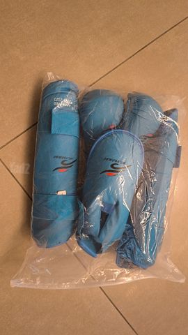 מגינים