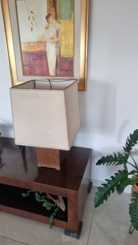 פירטי עיצוב