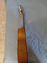 גיטרה CASCHA HH2136