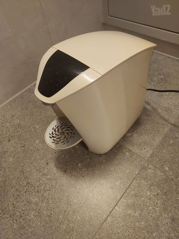 תמי בר מים