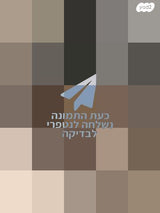 שולחן
