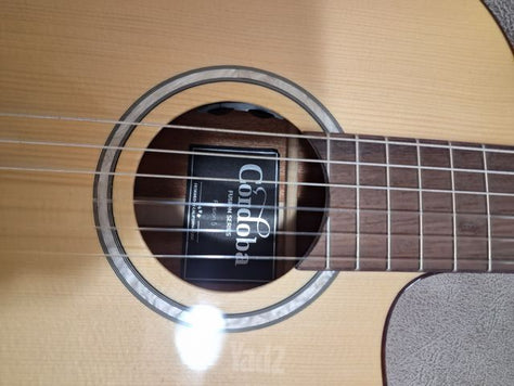 מעצ מלה