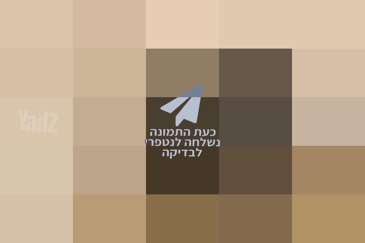 עגלת דונה