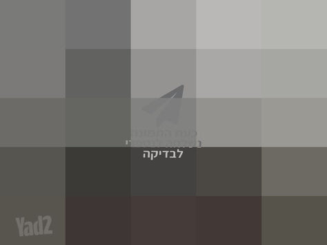 מכשיר הליכה חדש ממש דגם TORO