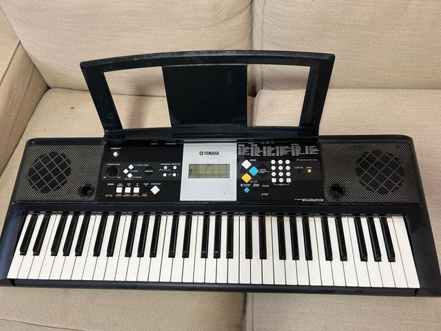 אורגנית yamaha