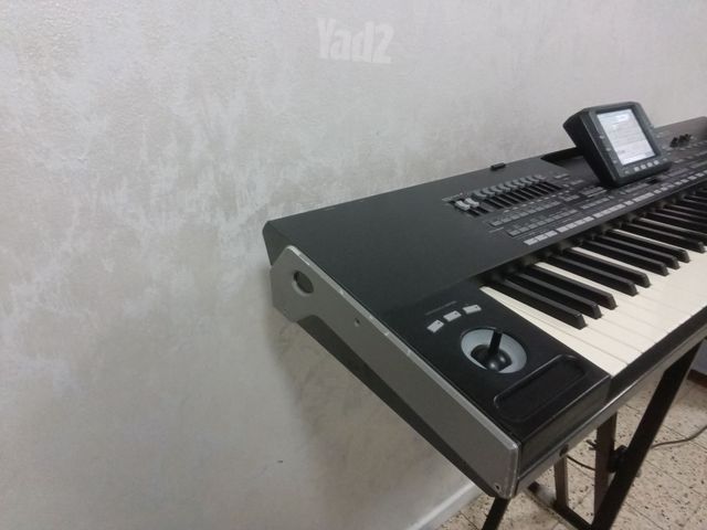 אורגן קורג pa3x