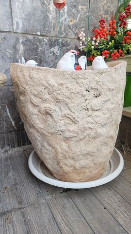 עציצים