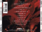 Annie Lennox Diva