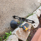 עיצוב גינה