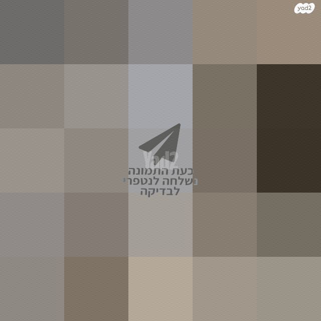מראה גדולה