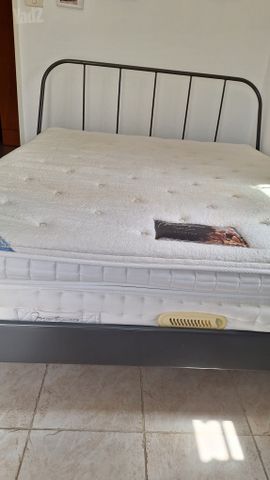 מיטה