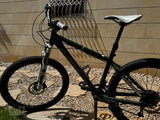 Sata Cruz Chameleon