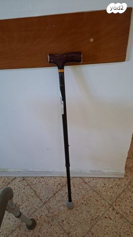 מקל הליכה