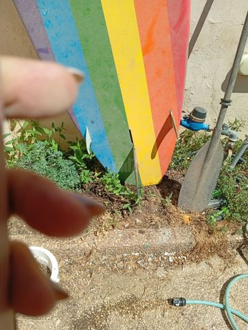 גלשן ומוט גלישה