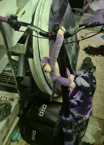 קורקינט
