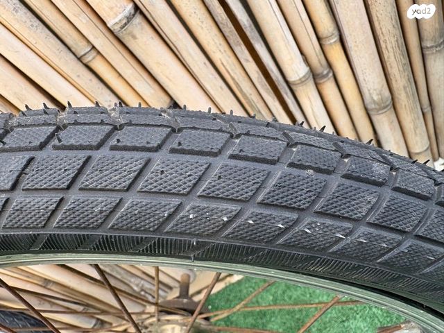 Schwalbe