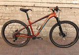 אופניים זנב קשיח 29