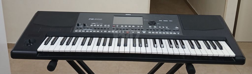 אורגן קורג 600