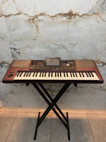 אורגן קורג / korg PA 1000