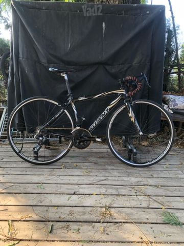 Giant TCR