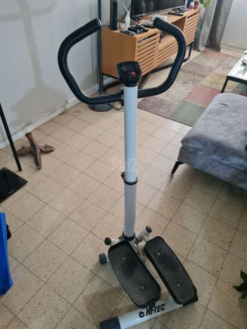 מדמה