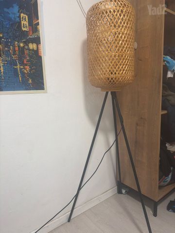 מנורת במבוק