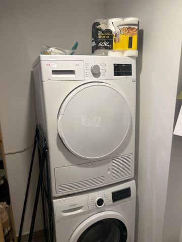 מייבש