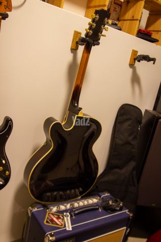 Epiphone Triumph Regent 1949