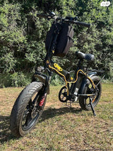אופנים חשמליות