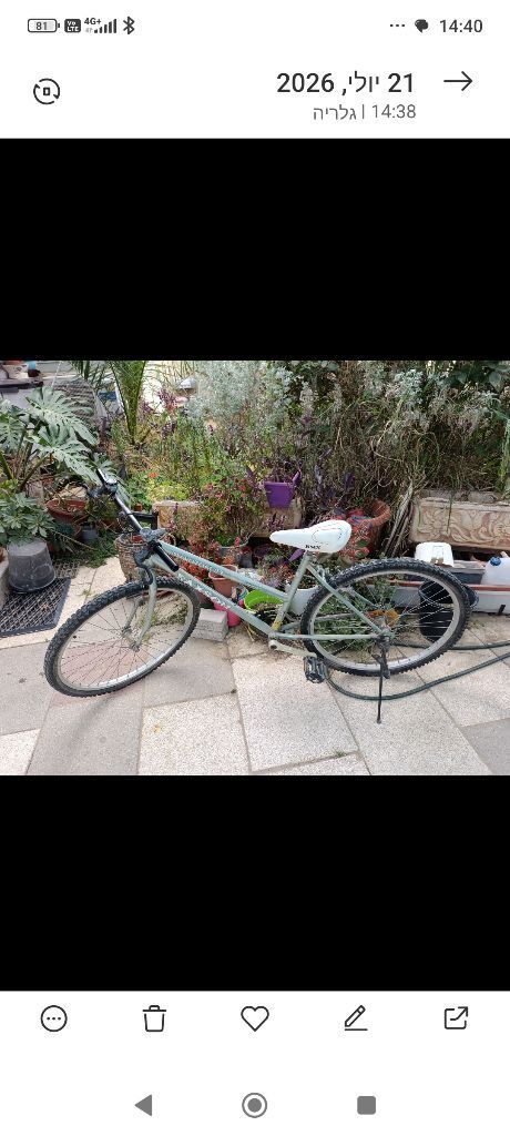 אופניים  מידה 26  20