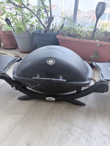 גרילר webber
