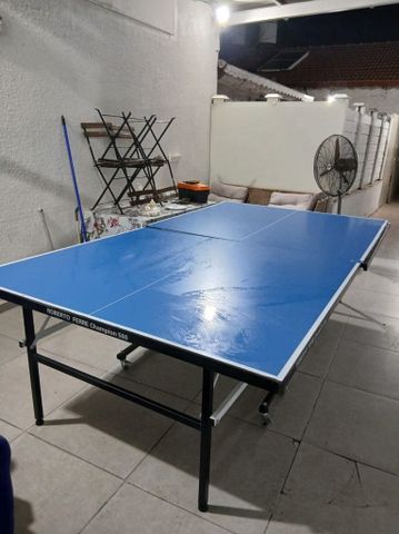 טניס