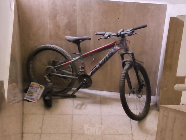 אופנים
