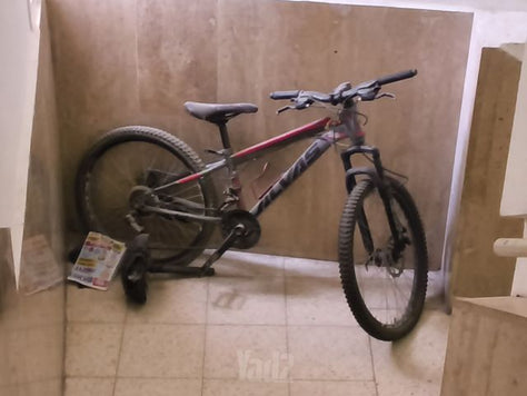 אופנים