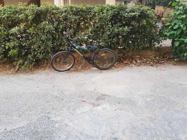 אופני הילוכים