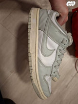Dunk low אפור