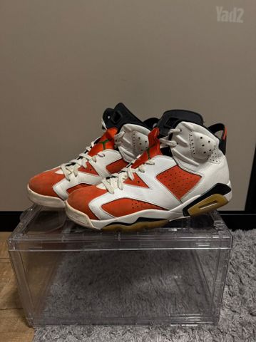 Jordan 6 Gatordae