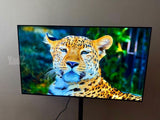 LG OLED 48