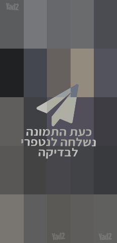 עגלת פג פרגו