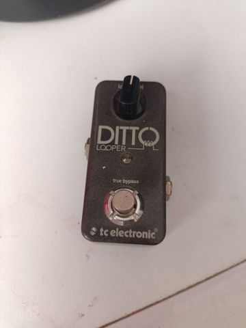 Ditto looper לופר