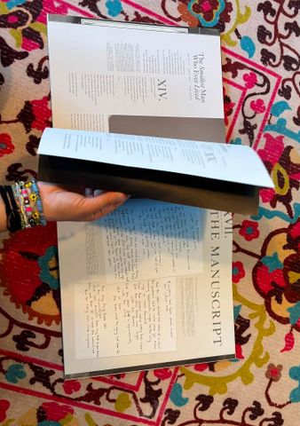The Tortured Poets Depatment