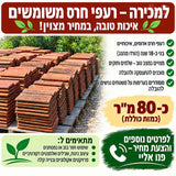 רעפים יד 2