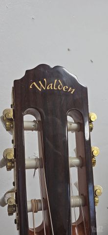 גיטרה חברת Walden