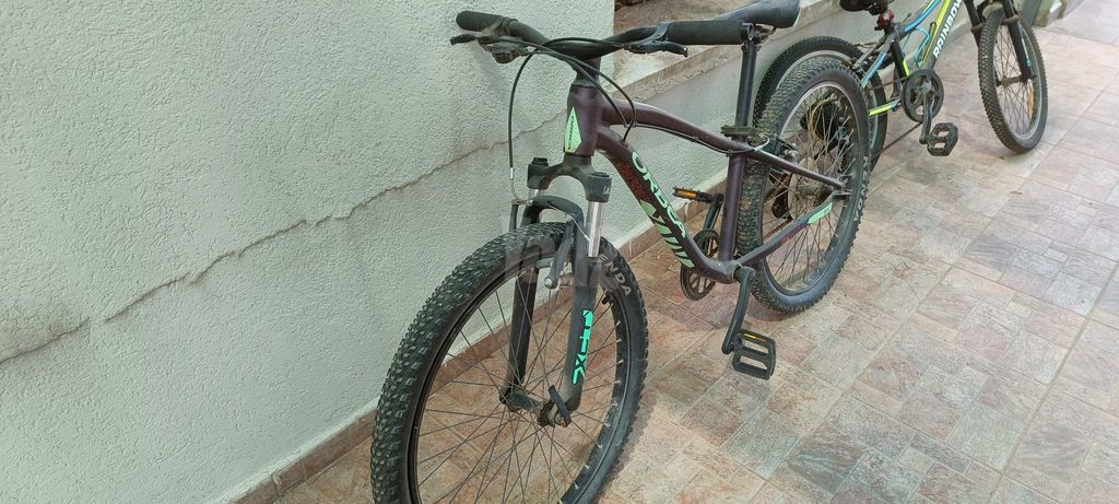 אופני הרים 24"