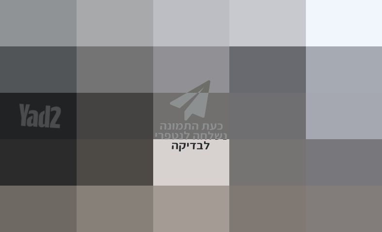 מעבד מזון Broun