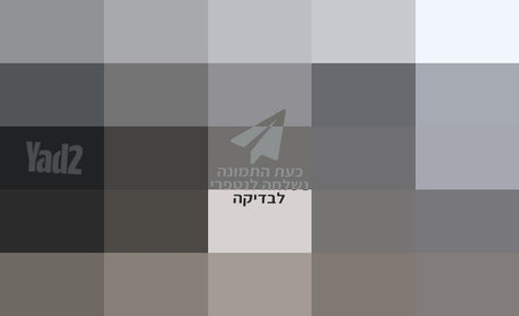 מעבד מזון Broun